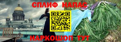 прущие грибы Ирбит