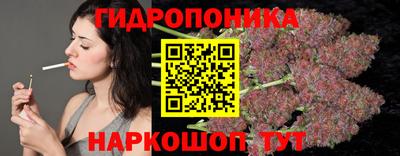 прущие грибы Ирбит