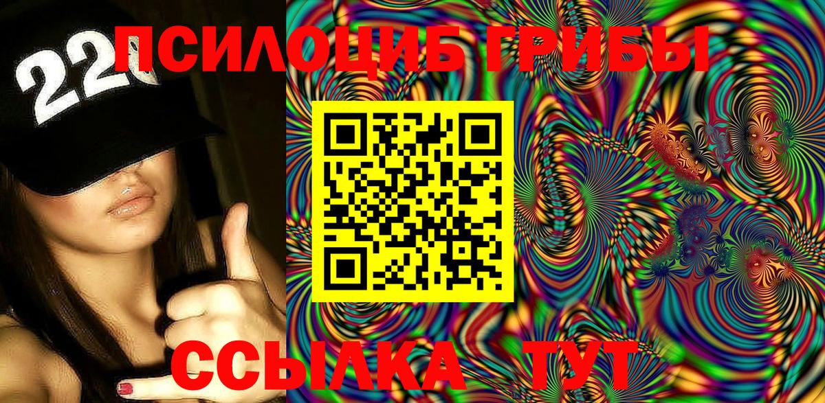 Галлюциногенные грибы Psilocybe  Вход с VPN  Кунгур  Псилоцибиновые грибы Psilocybine cubensis 